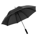 Paraguas Vivo - Imagen 4