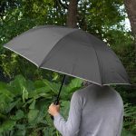 Paraguas Vivo - Imagen 5